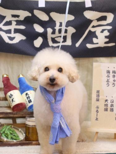 20240628こじろうくん